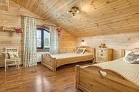 Сосна Прованс